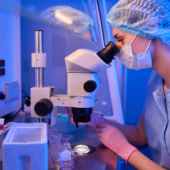 Ultimi Sviluppi e Innovazioni in Campo di PMA e Ovodonazione