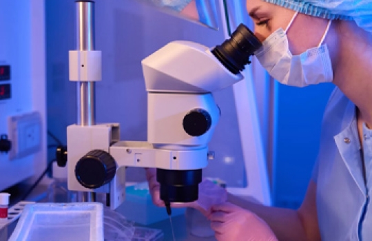 Ultimi Sviluppi e Innovazioni in Campo di PMA e Ovodonazione